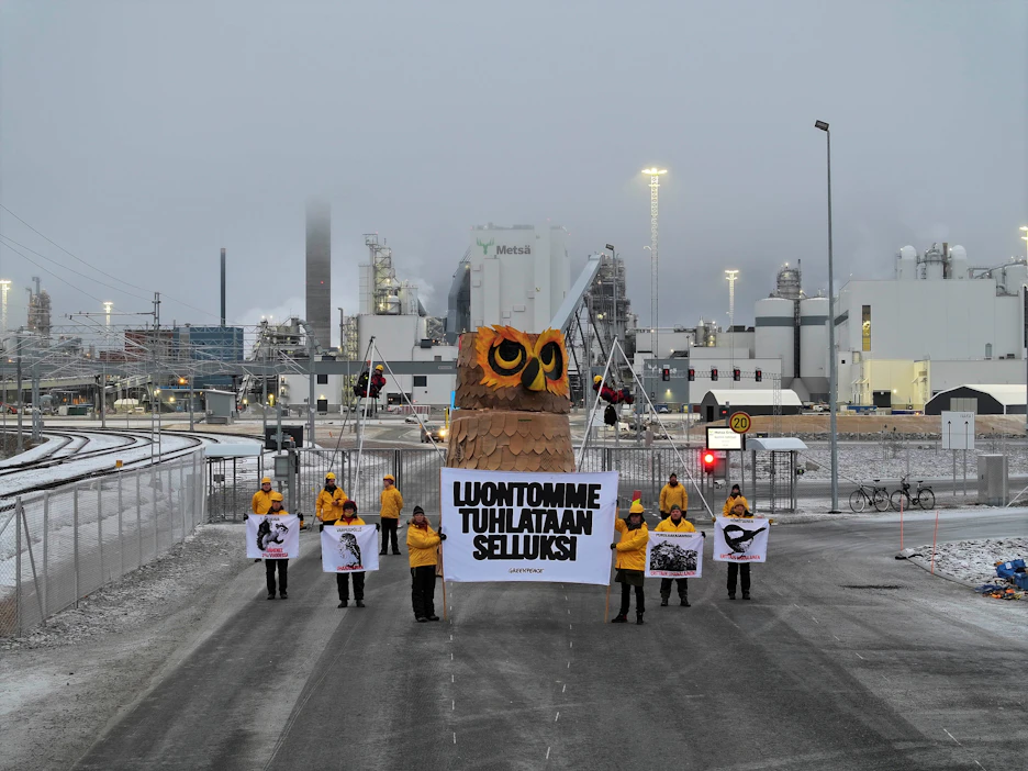 Greenpeacen aktivistit osoittavat mieltään Kemin sellutehtaalla. Pääportille on pystytetty pahvista tehty pöllö kuvastamaan metsäteollisuuden toiminnan myötä uhanalaistuvia metsälajeja.