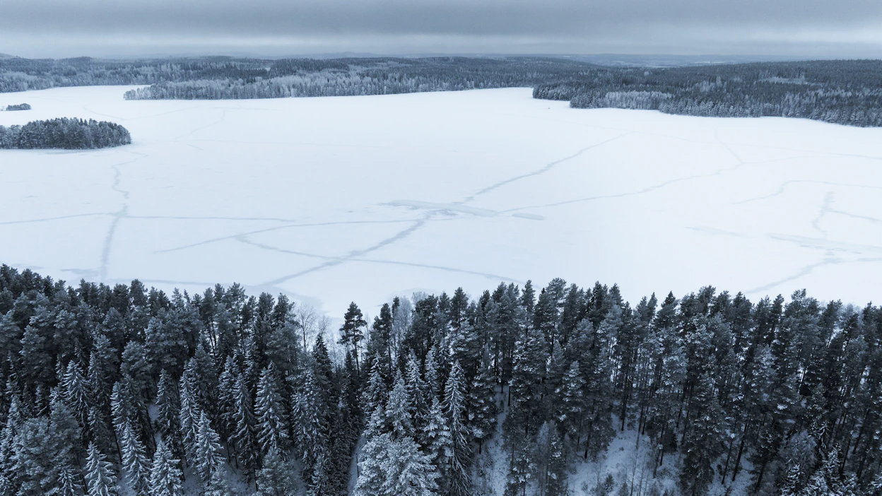 Laukaan sivukylillä ollaan huolissaan tulevan voimalinjan vaikutuksista maisemaan ja metsään.