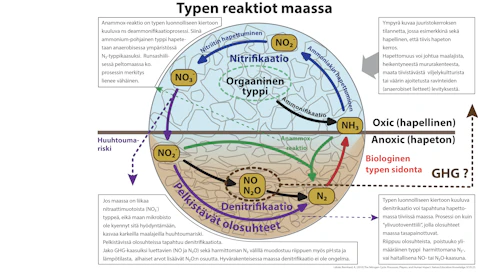 Typen reaktiot maassa. Kaavio kuvaa tilannetta maassa, eikä varsinaisesti erottele ihmisen antamia ravinnepanoksia tai maan omien reaktioiden johdosta tapahtuvia typen olomuodon muutoksia. Oleellista on oivaltaa, että maan rakenne – tiiviys tai ilmavuus – vaikuttaa suuresti typen olomuotoihin ja sitä kautta kasvien kykyyn hyödyntää typpeä. On myös huomioitava, että riski typen erilaisille hävikeille on aina olemassa. Hävikki voi olla kaasumaista tai valumina pohjavesiin tai ylipäätään vesistöihin päätyvää.Tärkeintä onkin muistaa, että hyvärakenteinen ja runsasmultainen peltomaa tolkun politiikalla hoidettuna on myös typen osalta hyvin ympäristöystävällinen!