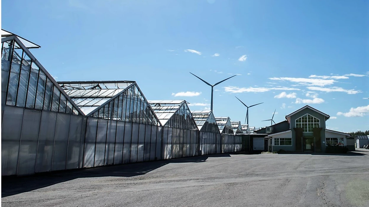 Kirkkokallion energiapuistossa Honkajoella hukkalämpö muunnetaan prosessihöyryksi. Iso osa alueen energiavirroista kiertää laitoksesta toiseen kuin ikiliikkuja.
