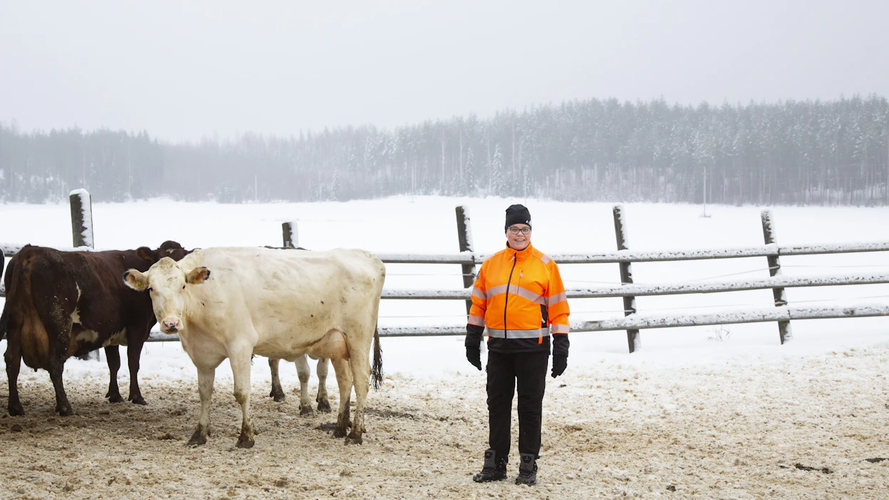 Maidontuottaja Paula Havo-Ossi perehtyi opinnäytetyössään vastuullisuusraportoinnin vaikutuksiin maatilojen rahoituksen hankkimisessa. Hän toivoo, että alalla herätään keskustelemaan aiheesta ajoissa.