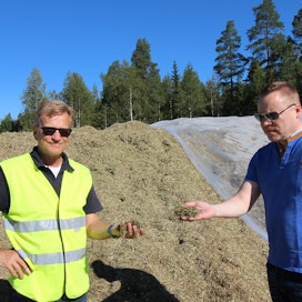 Jarmo Yletyinen (vas.) ja Teijo Lyytinen kertoivat, että nurmi korjattiin lähialueen tiloilta hienoksi silputtuna kahdessa päivässä.