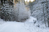 Metsänomistajan kannattaa muistaa myös hakea Metka-tukea vaikkapa metsätien kunnostukseen.