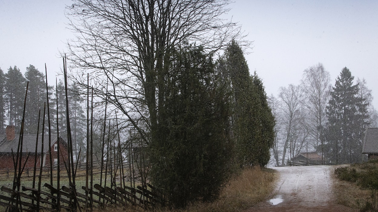 Maanantaina sataa ja tuulee puuskittain.