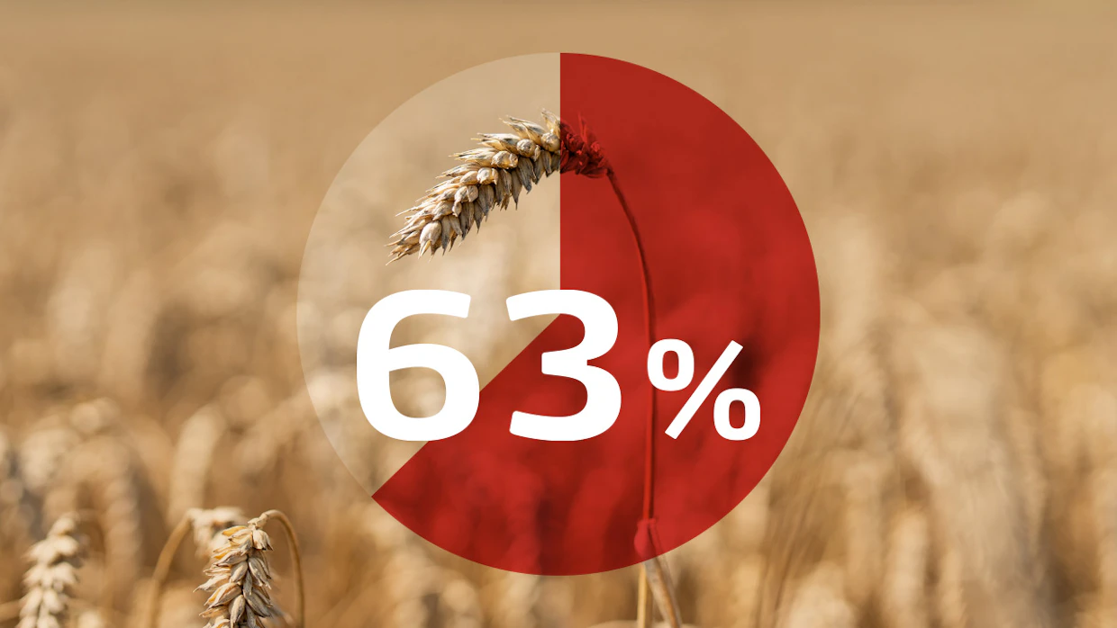 63 % Suomen pelloista on fosforin suhteen viljavuusluokissa huono, huononlainen tai välttävä vuosina 2021–2025.