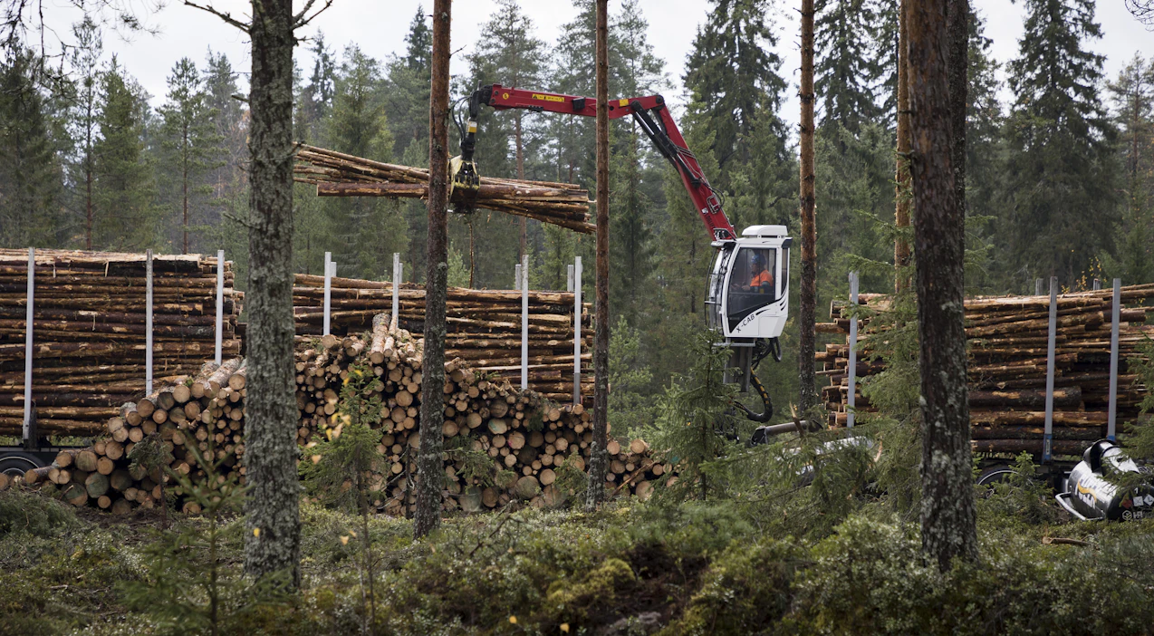 Puukauppoja on tehty yksityismetsissä vilkkaasti syksyn kuluessa. Kesälomien jälkeen miljoonan kuutiometrin raja on rikottu kolmena viikkona.