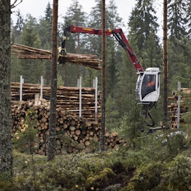 EU:n metsästrategiassa ei puututa kovin tarkasti hakkuisiin.