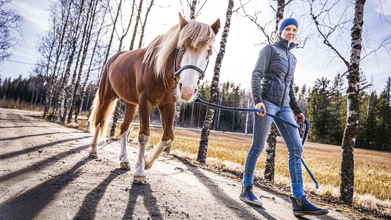 Kolmikymppinen Johanna Törmänen on hevoskasvattajaksi nuori. ”Kyllä mä yhdessä vaiheessa pohdin, että olisi kiva, jos olisi joku samanikäinen ihminen, joka myös kasvattaisi suomenhevosia”, hän hymyilee. Vierellä Rasantaja.