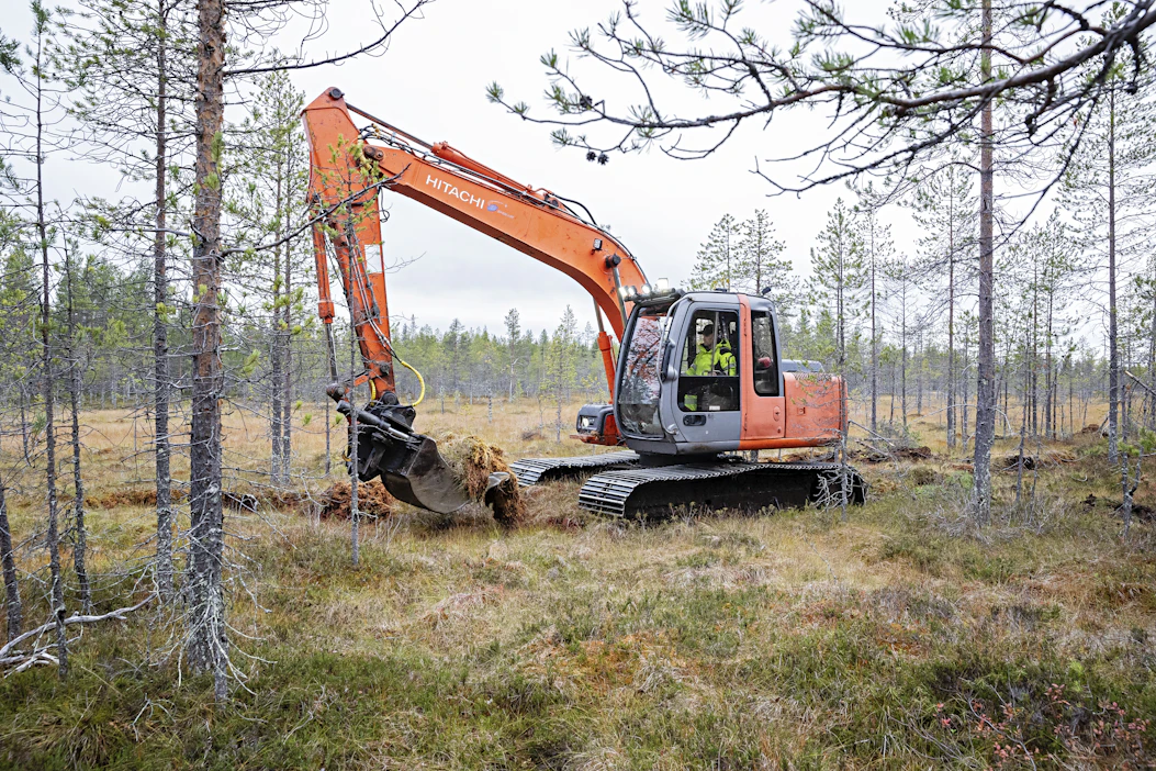 Suota ennallistava kaivuriyrittäjä näkee työssään paljon hirviä, poroja ja metsäkanalintuja.