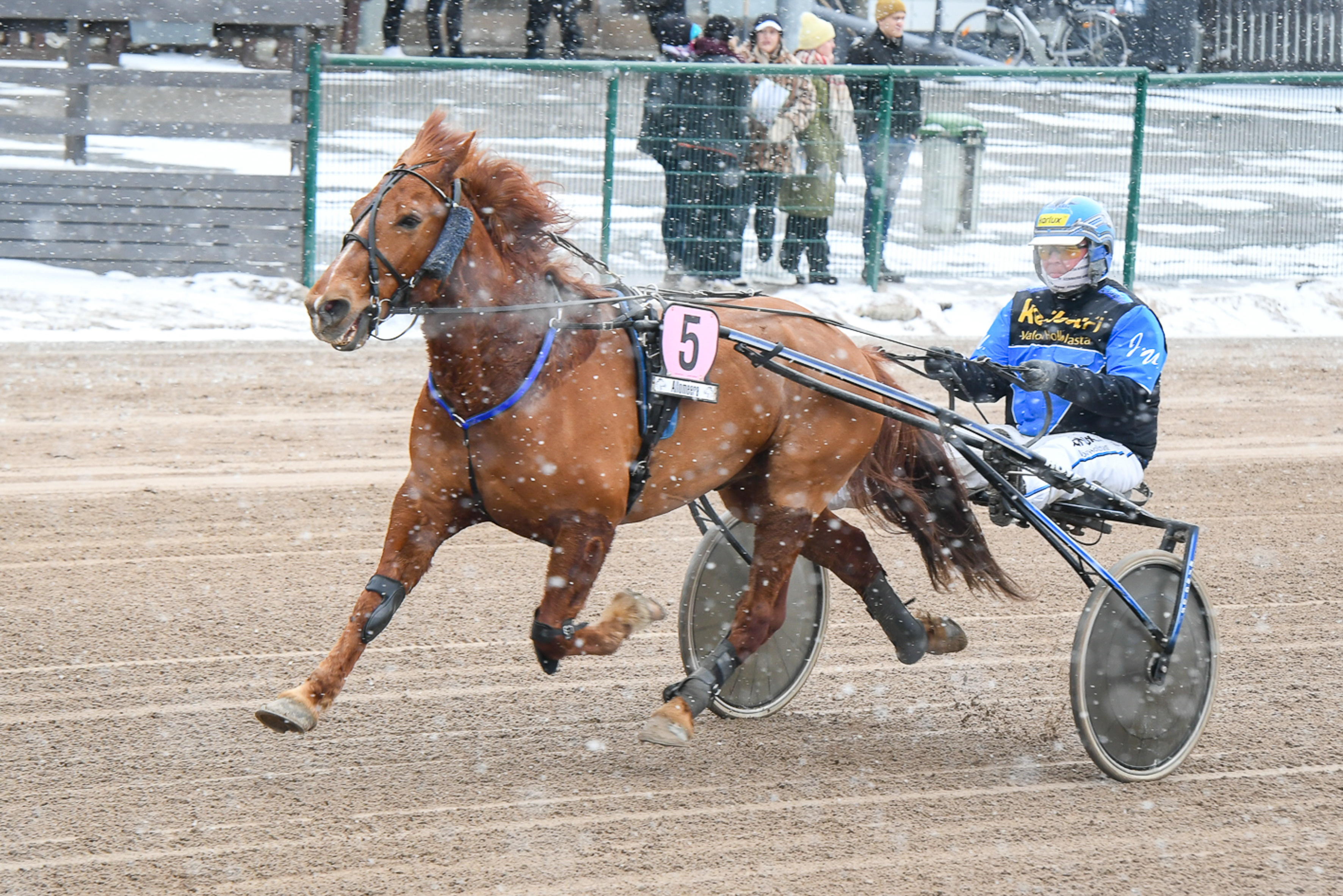 Juha Utalan ohjastama Morison on Valkeala-ajon suosikki.