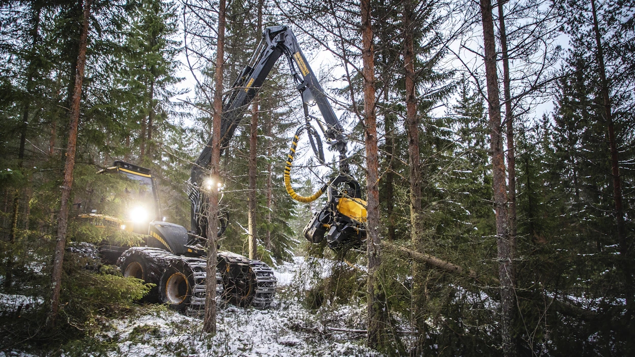 Metsänhoidon suositusten harvennusmallit ovat apuväline harvennusten toteutukseen.
