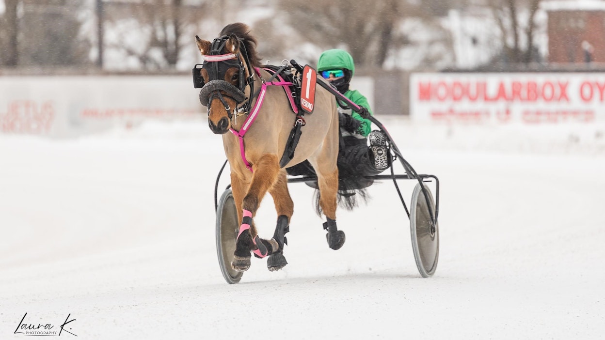 Eliza Wee on ollut Esther Ståhlin perheen omistuksessa kaksivuotiaasta asti.