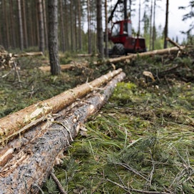 Toukokuussa puuta hakattiin 14 prosenttia vähemmän kuin vuotta aiemmin, Luonnonvarakeskus kertoo.