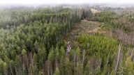 Metsäkeskus valvoo metsälakia muun muassa vertaamalla metsänkäyttöilmoituksia satelliittikuvista havaittuihin hakkuisiin.
