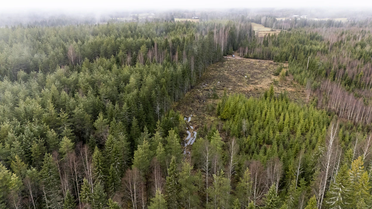 Metsäkeskus valvoo metsälakia muun muassa vertaamalla metsänkäyttöilmoituksia satelliittikuvista havaittuihin hakkuisiin.