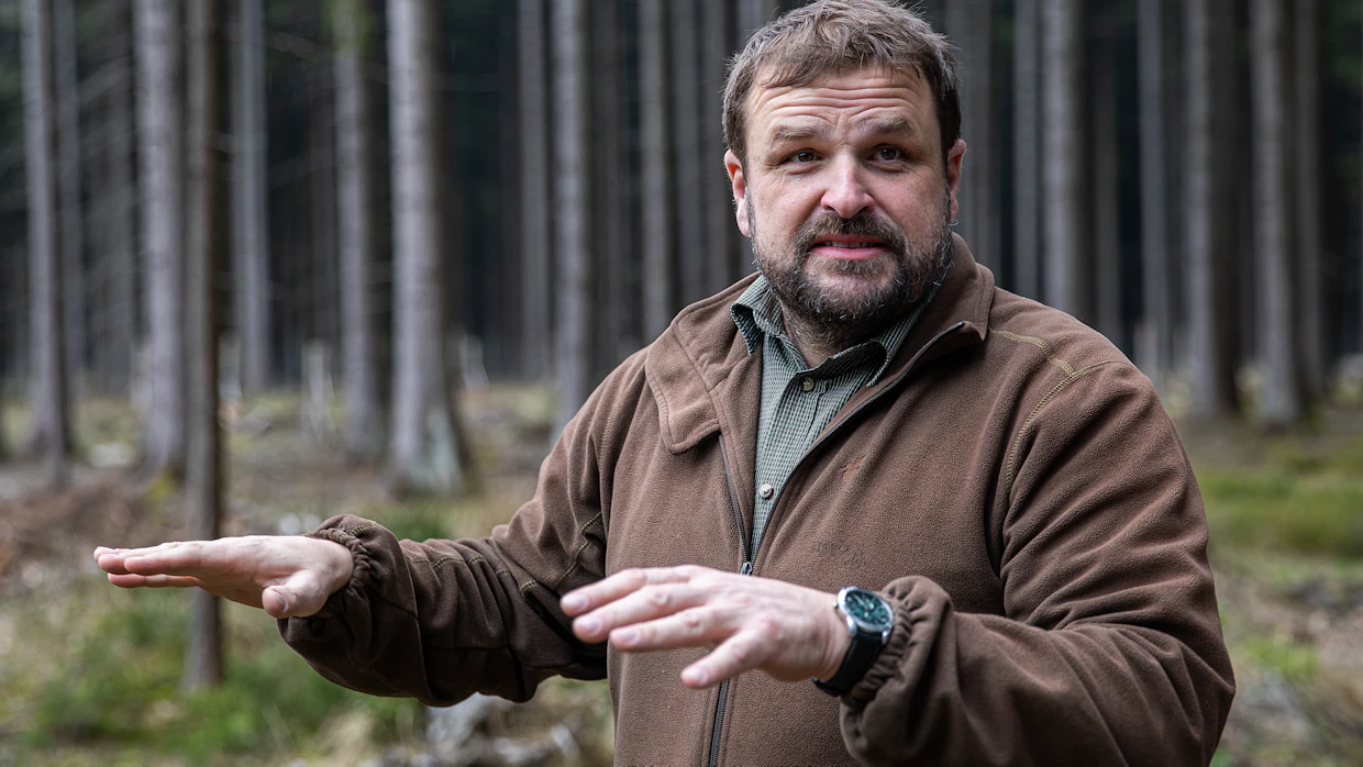 Kinský Žďár -metsäyhtiön päämetsänhoitaja Jan Sovákin mukaan Kinskýn yksityismetsissä harjoitetaan pääsääntöisesti jatkuvaa kasvatusta ja kuusivaltaisia metsiä uudistetaan järjestelmällisesti lämpenevää ilmastoa paremmin kestäviksi sekametsiksi.