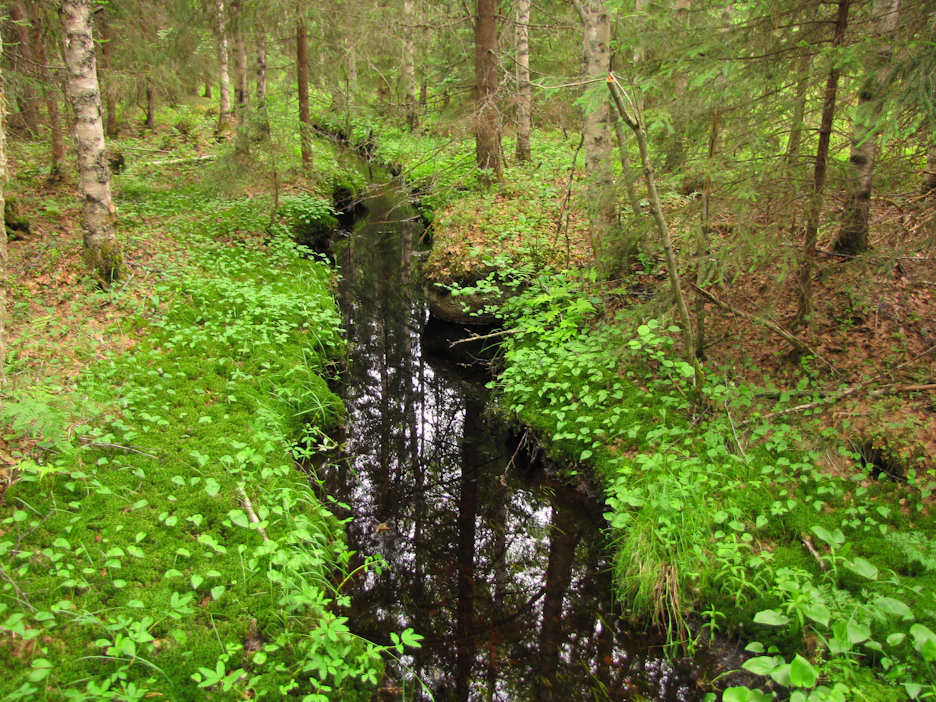 Ahdistus on kuin synkkä, paikalleen pysähtynyt, musta puro. Siinä ei välttämättä auta, vaikka ympärillä olisi kuinka paljon kaunista ja hyvää.