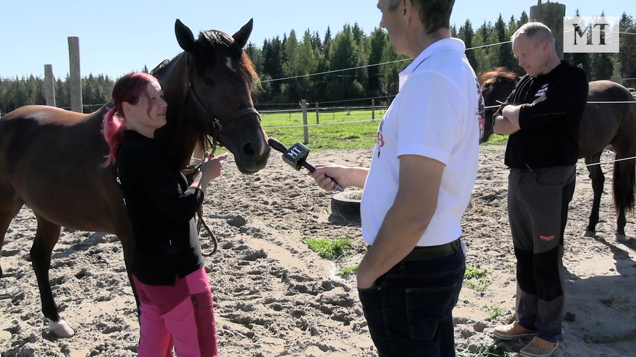 Jenni Oinonen ja Jani Oinonen kertovat hevosistaan haastattelija Juha Jokiselle (kesk.).