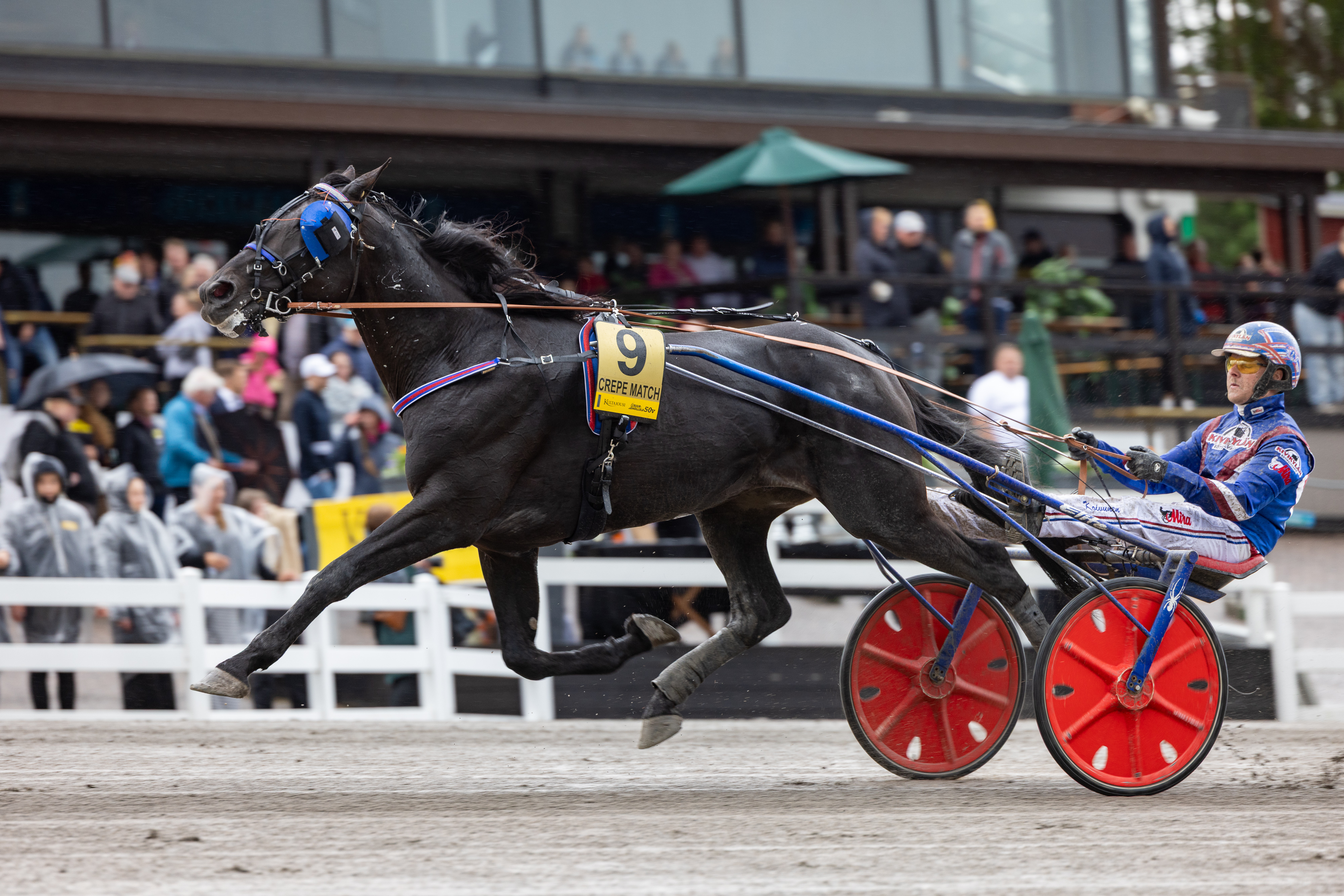 Crepe Match on viimevuotinen Suurmestari. Kuinka käy lauantaina?