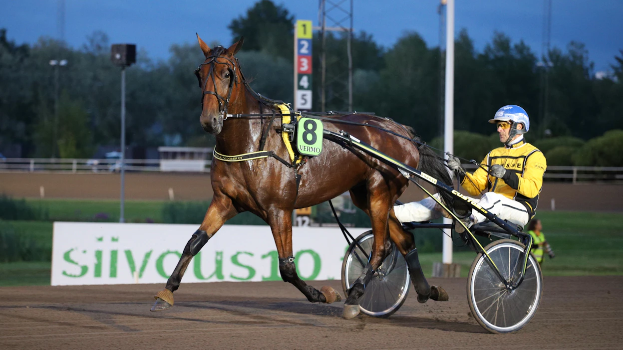 Matteo De Veluwe, tässä Esa Holopaisen ohjastamana Vermossa, on Matti Nisosen menestyskortti keskiviikon T86-jackpotkierrokselle Solvallaan.