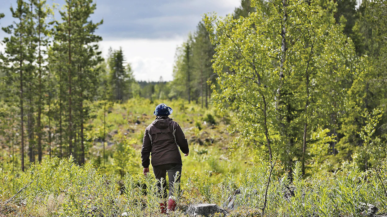 Kasvien ja eläinten hidas katoaminen ihmisen toiminnan seurauksena on maailmanlaajuinen ongelma, mutta ihmisen silmissä globaalit haasteet häviävät aina horisonttiin. Kuvan henkilö ei liity juttuun.