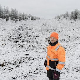 Asko Annalan harvennusmetsistä Yli-Iissä on lunastettu liki sadan metrin levyinen kaista Fingridin voimalinjaa varten. Annala kävi tarkastamassa lumista hakkuukaistaa viime keskiviikkona.