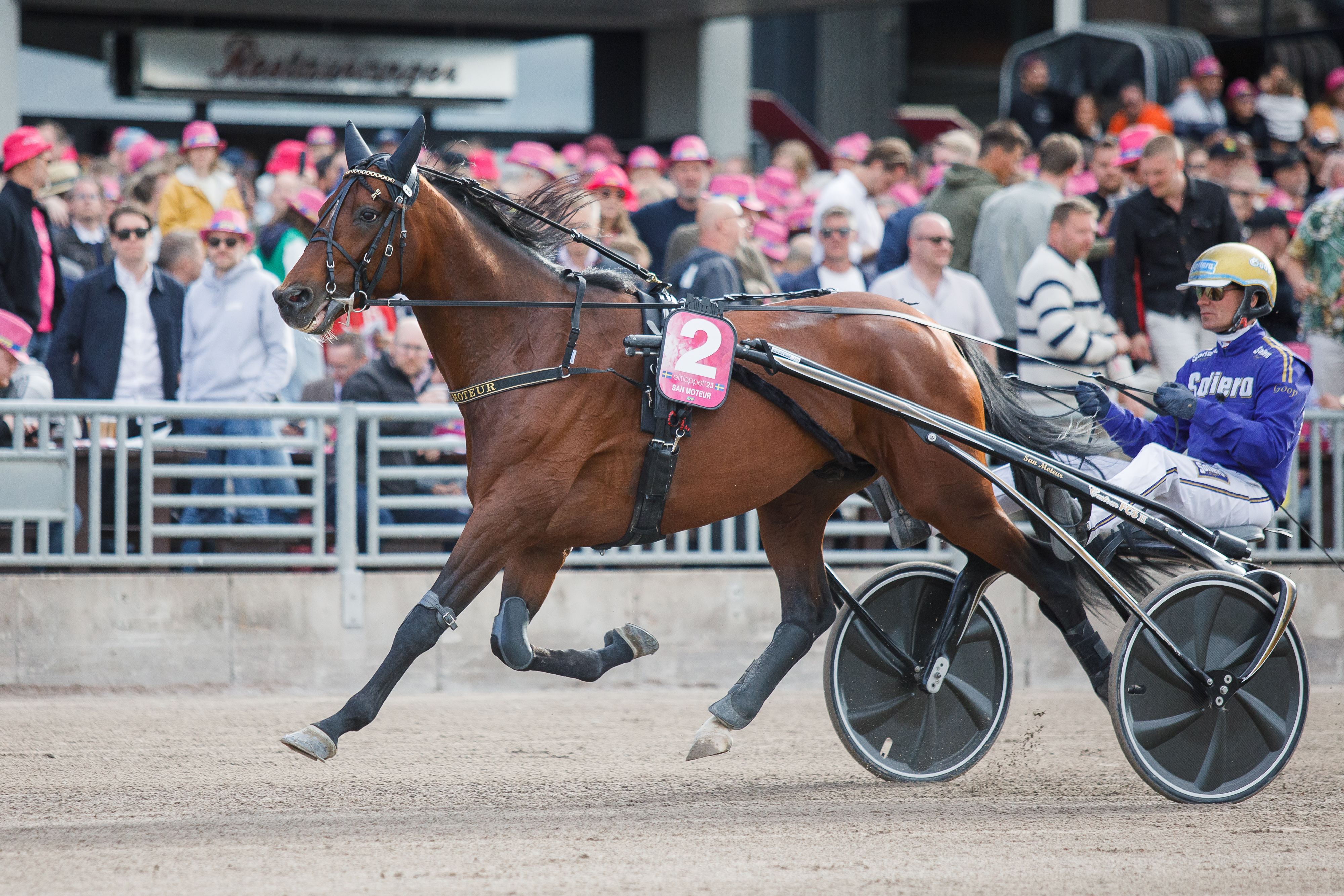 Sunnuntaina ruotsalainen San Moteur pääsee näyttämään kavionsa kovaa ranskalaisjoukkuetta vastaan Prix d’Ameriquessa. Oriin meriittilistalta löytyy muun muassa Elitloppetin hopeasija. 