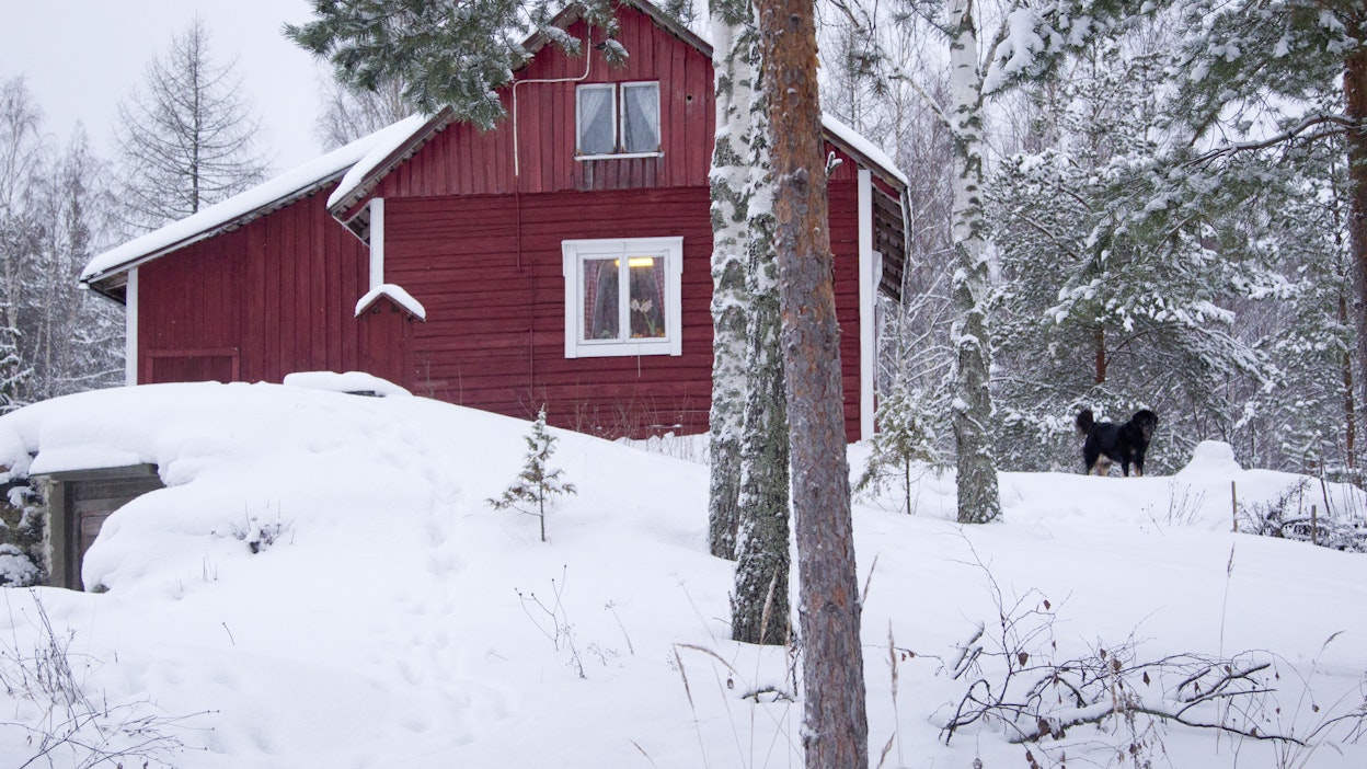 Joulu luonnon keskellä vetoaa yhä useampaan suomalaiseen.