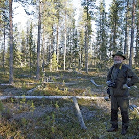 Risto Jalkanen työskenteli Rikkilehto-kohun aikaan Metsäntutkimuslaitoksen (Metla) erikoistutkijana Rovaniemellä.