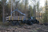 Puukaupan huippu on viime vuosina osunut marras-joulukuun taitteeseen.