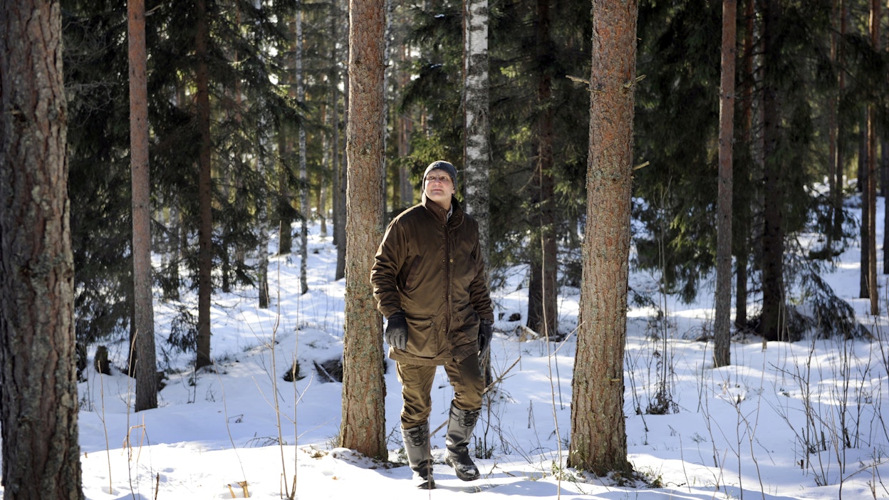 ”Omaa silmää miellyttävää sekametsää”, Eloranta kuvailee näkemäänsä Haapa-Kimolassa.