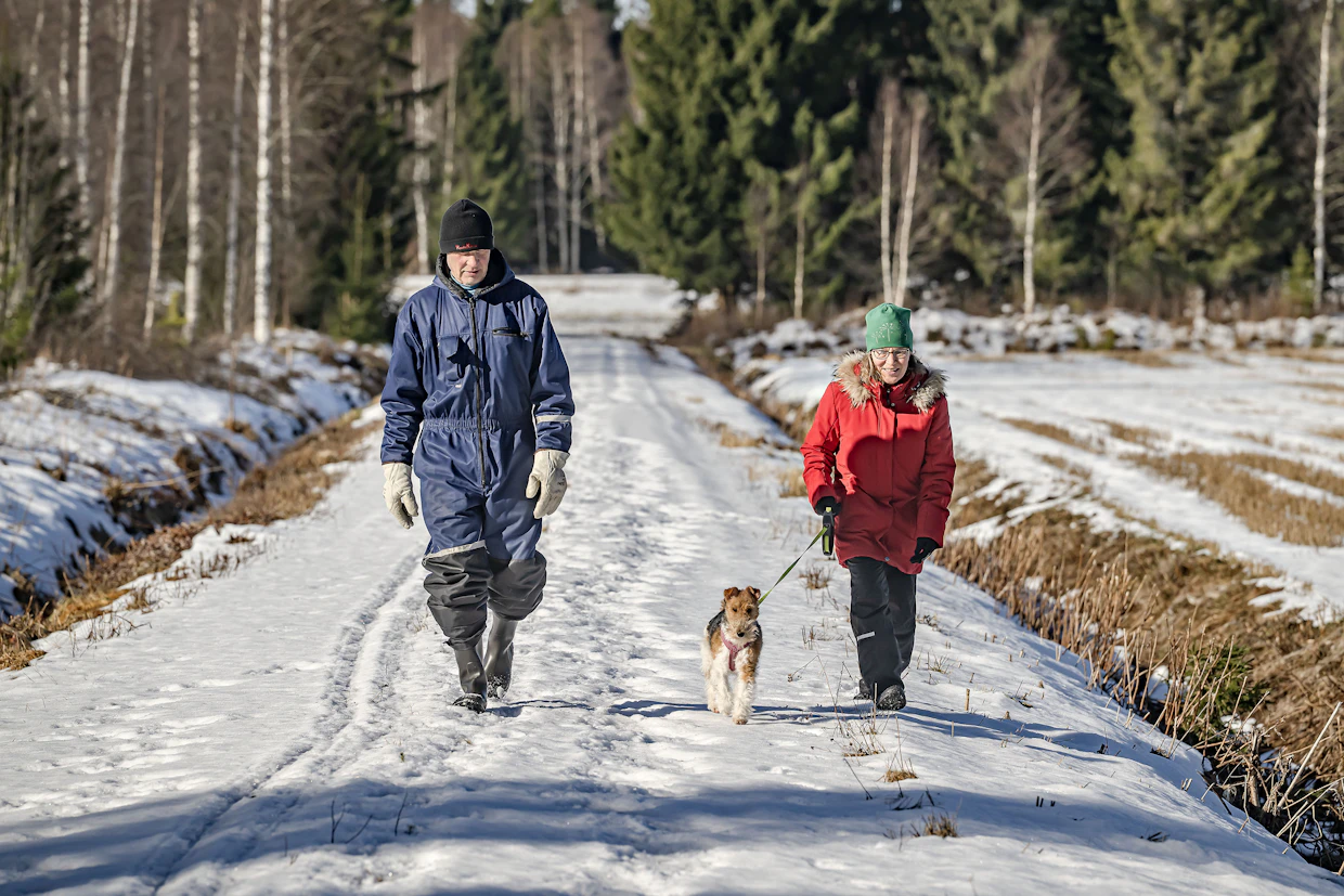 Pauli ja Leena Kimpisalo sekä Hile-koira kävelevät kotimaisemissaan kytötietä, josta erottuu vielä juuri ja juuri heidän hiihtämänsä latu.