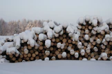 Kaikki pysty- ja hankintakaupoista sekä omasta metsästä kotitalouksille myydyistä polttopuista ja joulukuusista saadut tulot ovat metsätalouden pääomatuloa.