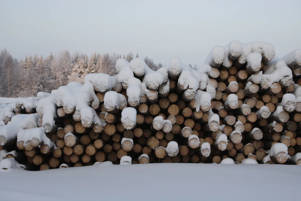 Kaikki pysty- ja hankintakaupoista sekä omasta metsästä kotitalouksille myydyistä polttopuista ja joulukuusista saadut tulot ovat metsätalouden pääomatuloa.