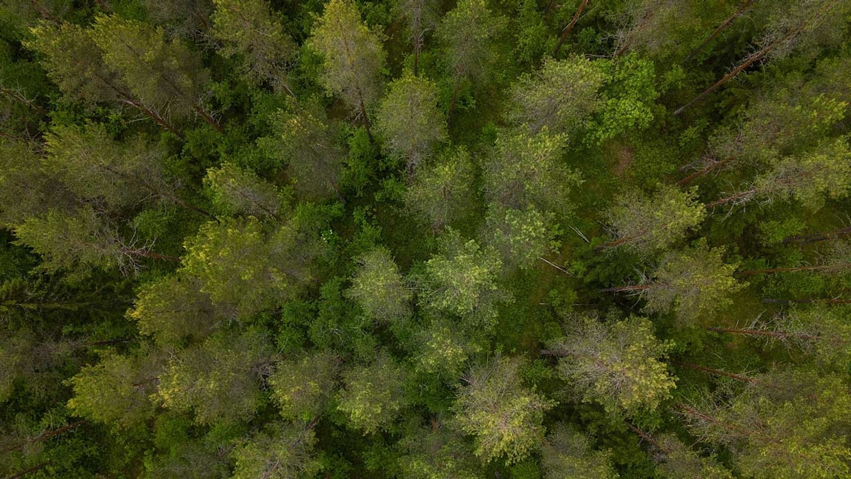 Metsän kasvatuslannoituksella saatu lisäkasvu on keskimäärin 15–20 kuutiometriä puuta hehtaarille lannoituksen vaikutusaikana, joka on noin 6–8 vuotta. Metsänomistajalle tämä tarkoittaa keskimäärin 10–20 prosentin vuotuista tuottoa lannoitusinvestoinnille.