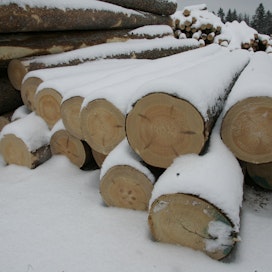 Alkuvuoden puukaupat ovat lisääntynyt viikoittain.