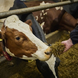 Yhteensä viljelijätuki maksettiin 1,679 miljardia euroa. Kuvituskuva.