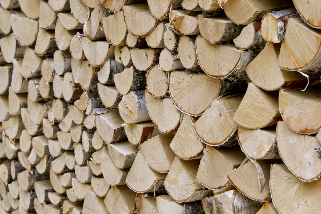 Metsänomistajan omaan käyttöönsä ottama ja pilkkoma polttopuu on verovapaata kotitarvepuuta.