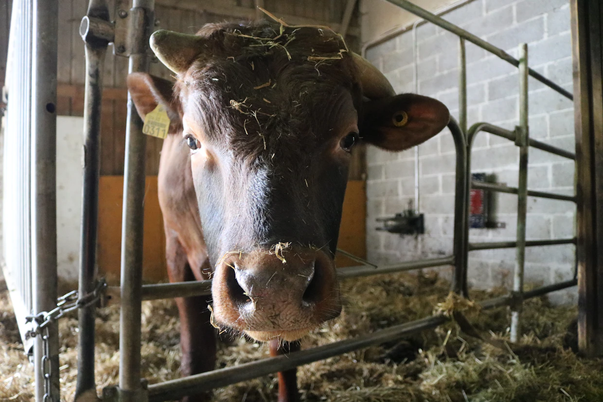 Laten Farmilla kasvaa asiansa osaava tilasonni.