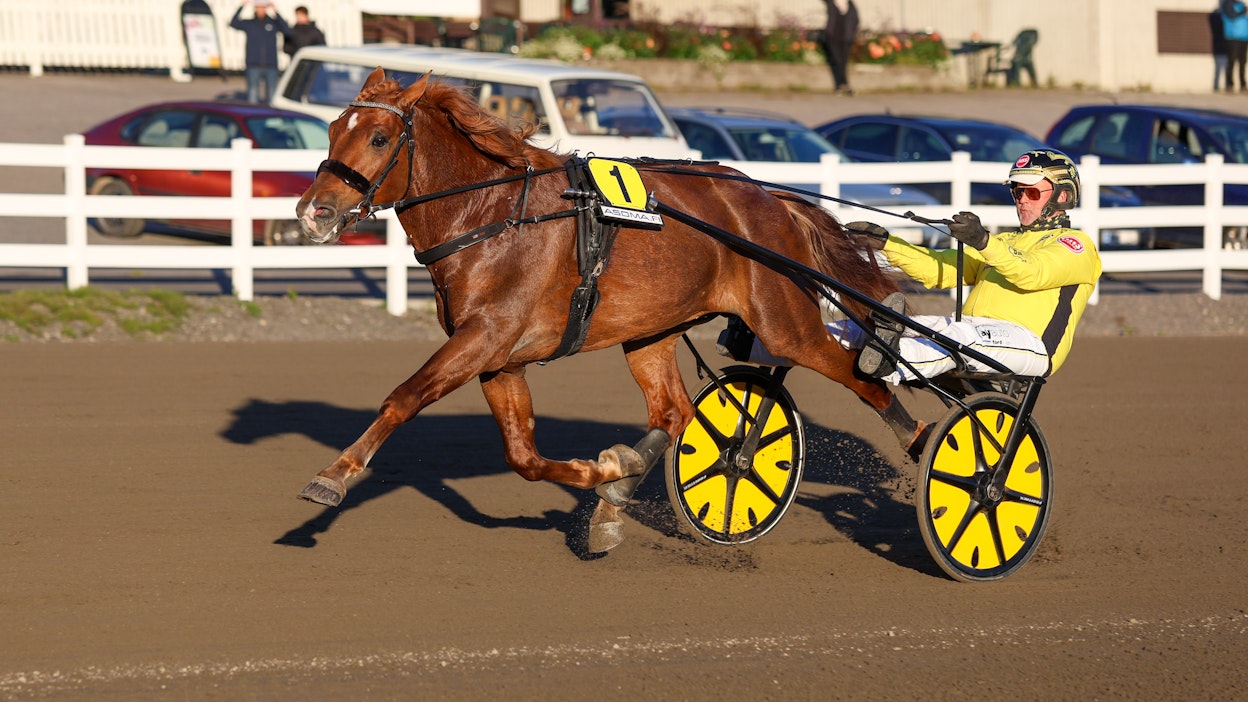 Weikko hurjasteli uudet kolmevuotiaiden SE-lukemat 26,2a/2100 metriä viime syyskuussa Mikkelissä. Tulos on samalla myös lyhyemmän matkan SE. Joulukuussa Kuopiossa Weikko juoksi täyden matkan volttilähetyksen SE:n 29,2, joka on samalla myös lyhyemmän matkan SE-tulos.