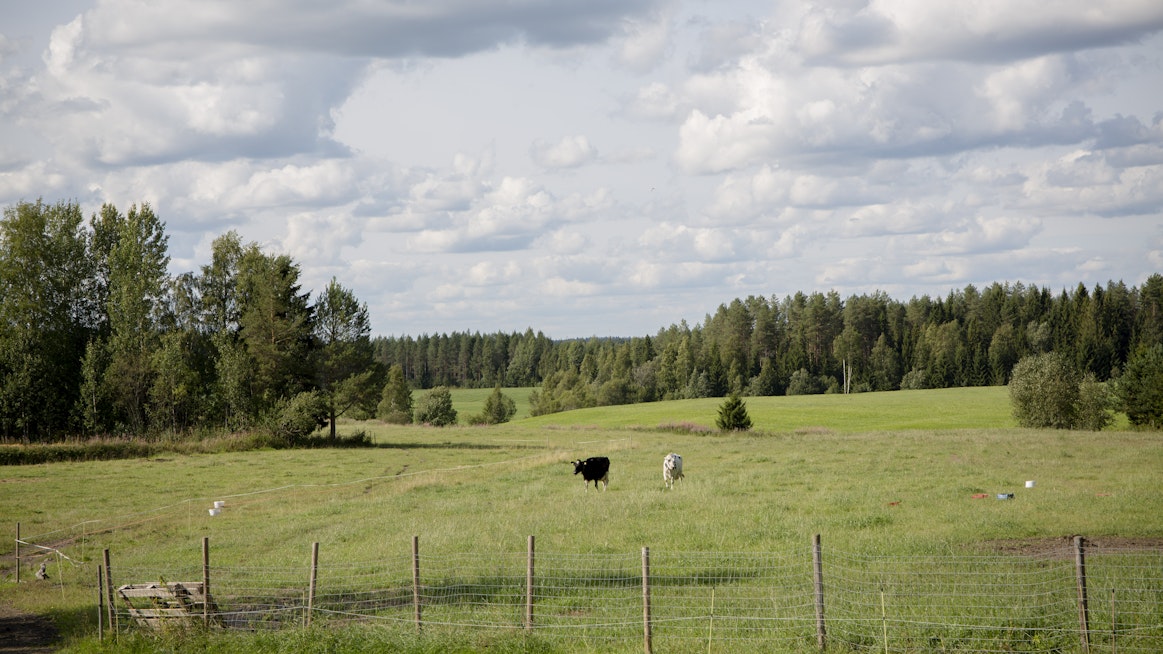 Lopettamista suunnittelevat kokivat usein terveytensä ja jaksamisensa heikoksi, jatkajia ei ollut ja maataloustulo oli varsin pieni.