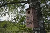 Birdlife on järjestänyt pönttöbongausta vuodesta 2013, viime vuonna ilmoitettiin yli 46 000 pöntön tiedot.