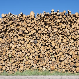 Myrsky- ja kirjanpainatuhojen aiheuttama puun ylitarjonta on Keski-Euroopassa muuttunut koko ajan kärjistyväksi puupulaksi.