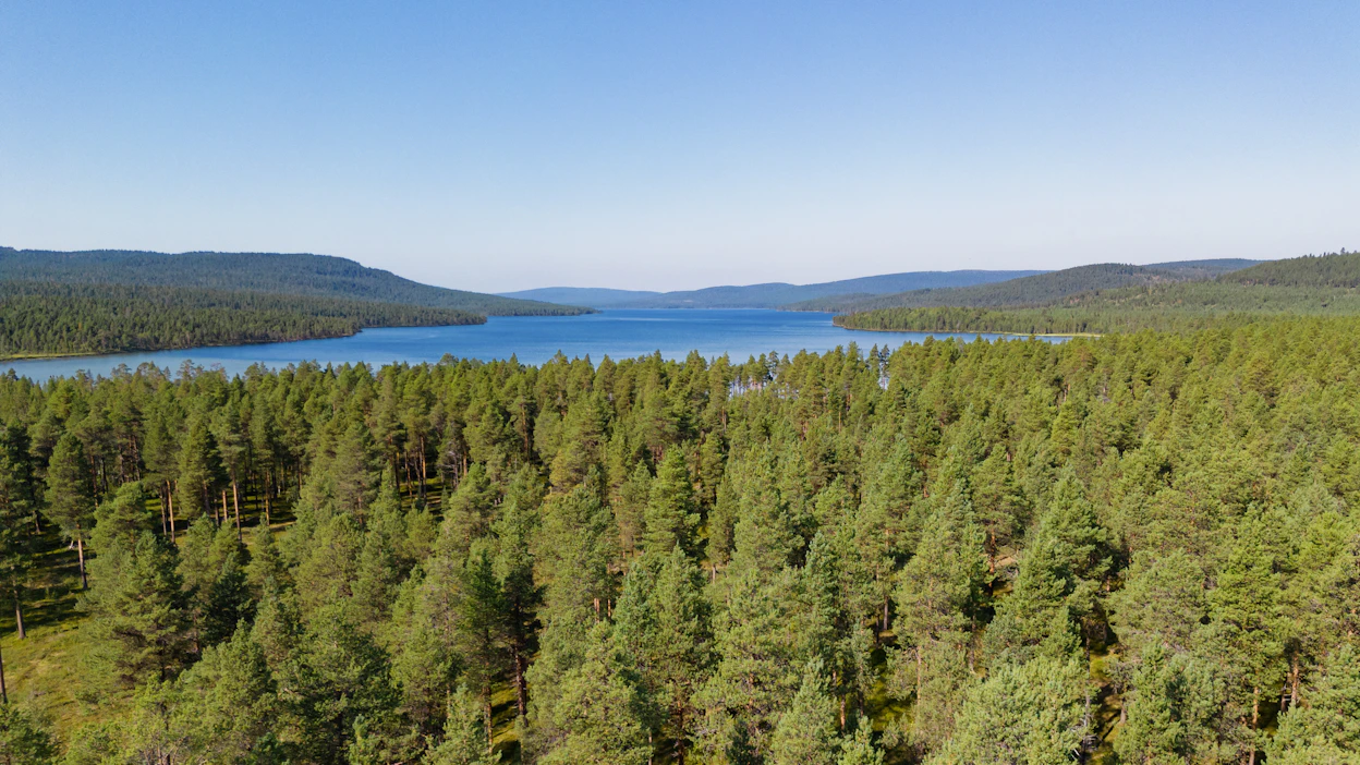 Jorma Mäki-Jussilan mielestä suomalaiset metsä eivät aiheuta metsäkatoa, koska meillä ei metsiä hävitetä.