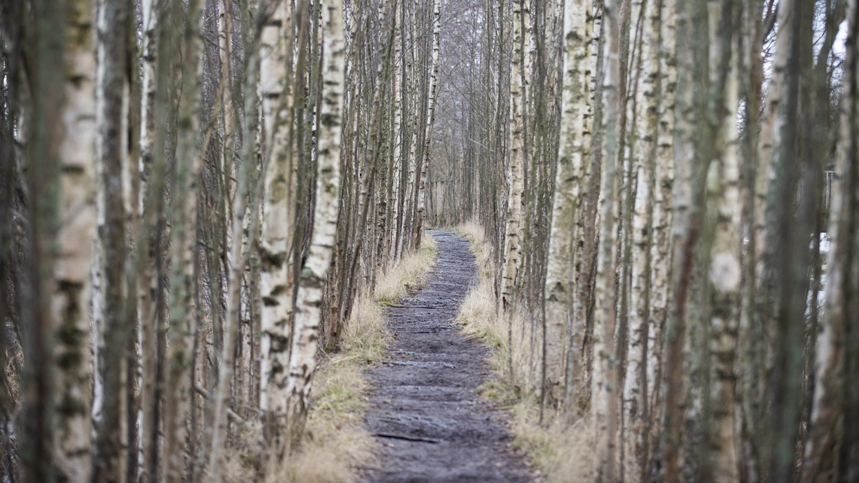 Maanantaina pilvisyys on vaihtelevaa.