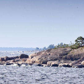 Vieraslajien levinneisyys Itämerellä vaihtelee suuresti.
