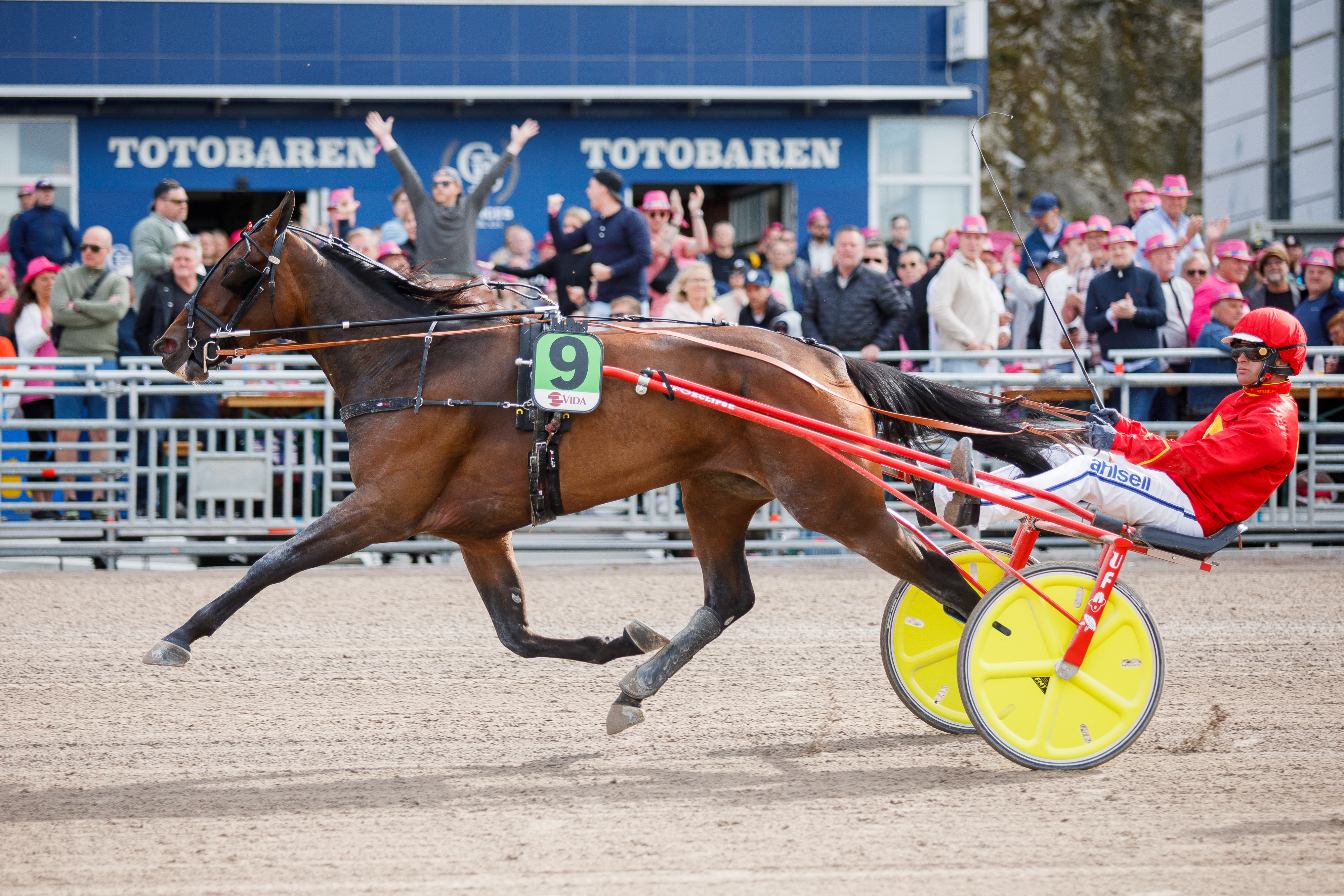 Tähtitamma Joviality tavoittelee suurvoittoa sunnuntaina Oslossa.