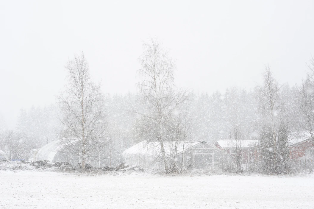 Lankalauantaina laaja räntä- ja lumisadealue liikkuu maan itä- ja pohjoisosan yli koilliseen, idässä osan sateesta voi tulla myös vetenä.
